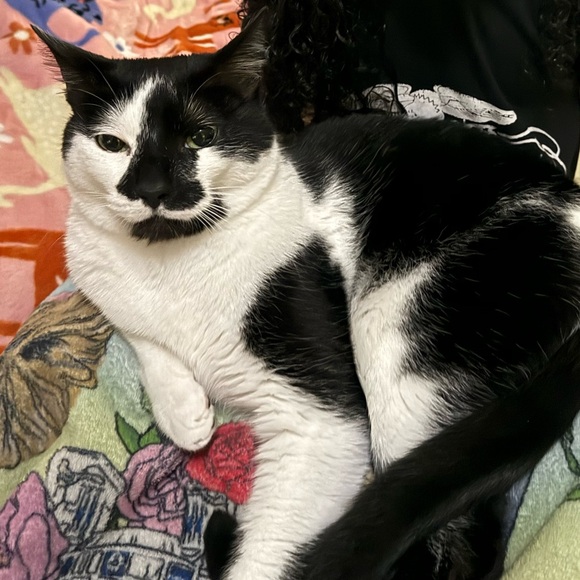 Meet your Posher, Kimberly - Picture 1 of 1